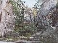 Prachovské skály