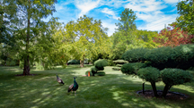 Centrum řemesel a bylinné zahrady Botanicus